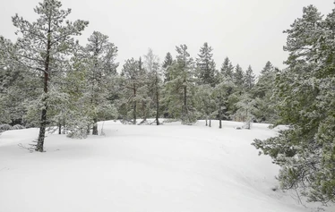 Sandrian villi luonto järjestää lumikenkäretkiä Eurajoella ja Raumalla