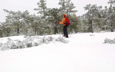 Sandrian villi luonto järjestää lumikenkäretkiä Eurajoella ja Raumalla