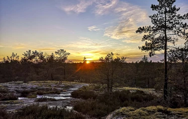 Sandrian villi luonto järjestää lumikenkäretkiä Eurajoella ja Raumalla