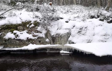 Sandrian villi luonto järjestää lumikenkäretkiä Eurajoella ja Raumalla