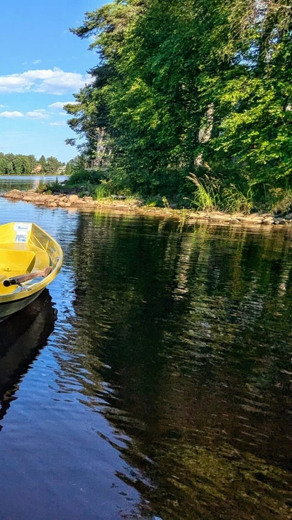 Kesäaktiviteetit