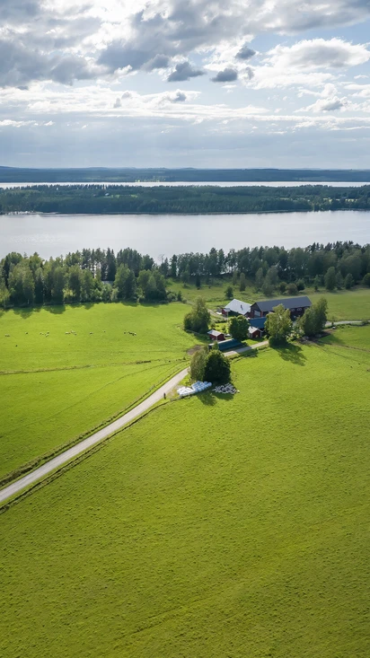 Seppälän Luomulammastila
