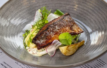 Vuorineuvos Gösta Serlachius Mäntän yhteiskoulun edessä vuonna 1928. K.-E. Lindbladin kuvakokoelma, Serlachius