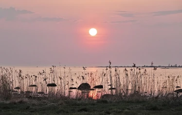 Skaftung Naturen arktikakurssi - Keväinen arktikakurssi tarjoaa monipuolista lajistoa.