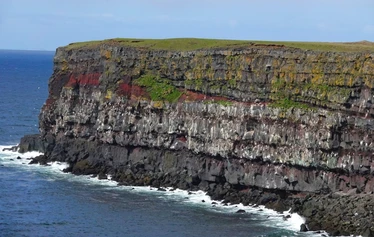 Islanti on merilintujen suosiossa