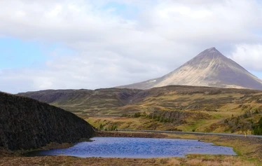 Islanti on merilintujen suosiossa