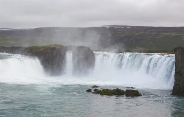 Islanti on merilintujen suosiossa