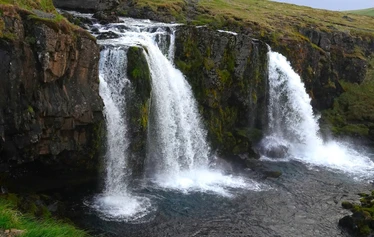 Islanti on merilintujen suosiossa