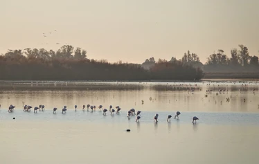 Skaftung Nature Espanjan keväässä