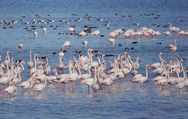 Skaftung Nature Espanjan talvessa