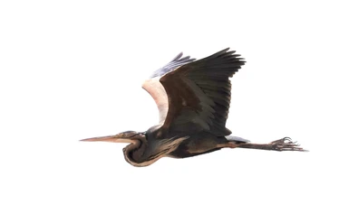 Skaftung Nature Espanjan keväässä