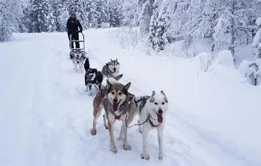 Yö lumi-iglussa - Iglussa nukutaan kunnon sängyssä makuupussissa. Lämmin makuutila on varalla. 