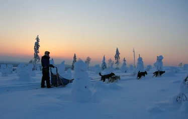 Huskysafari upeissa talvimaisemissa - Pitkä, kahden päivän koiravaljakkoajelu erämailla