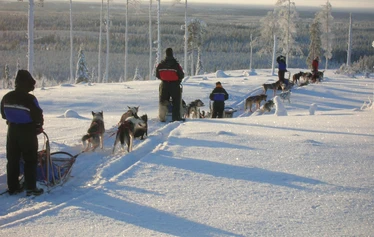Huskysafari upeissa talvimaisemissa - Pitkä, kahden päivän koiravaljakkoajelu erämailla