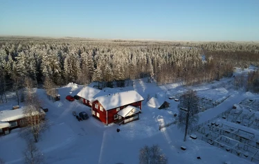 Innokkaat rekikoirat - Jokaisella osallistujalla on oma koiravaljakkonsa