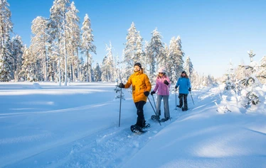 Talviloma Iso-Syötteellä - Lumivarma kohde kohtuullisen ajomatkan päässä Etelä-Suomesta