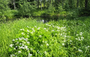 Pyöräily Salpausselkä Geopark