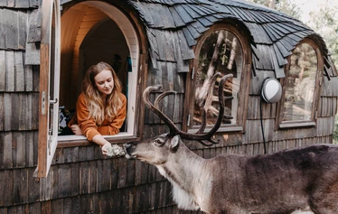 Päremajat Nuuksion Poropuistossa