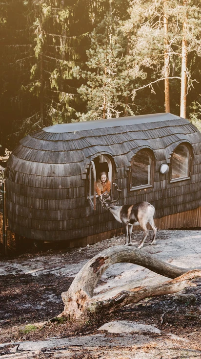 Yöpyminen Nuuksion Poropuistossa