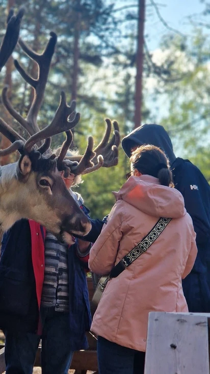 Nuuksion Poropuisto