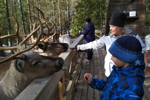 Pääsylippu poropuistoon