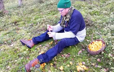 Kotaharjun mykistävät maisemat