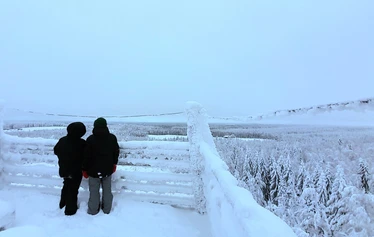 Kotaharjun mykistävät maisemat