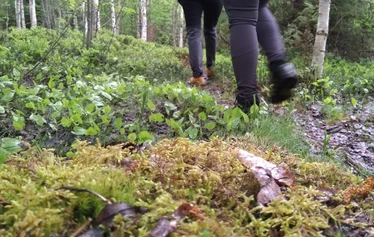 Kotaharjun mykistävät maisemat