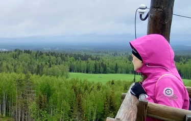 Kotaharjun mykistävät maisemat