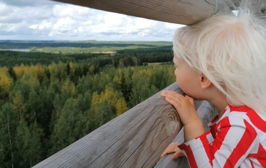 Kotaharjun mykistävät maisemat