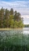 Inspiroivat luontokokemukset - Nuuksio