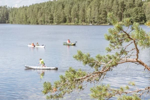 Aktiviteetit ja tapahtumat