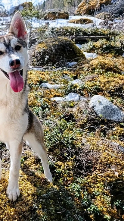 Tervetuloa!