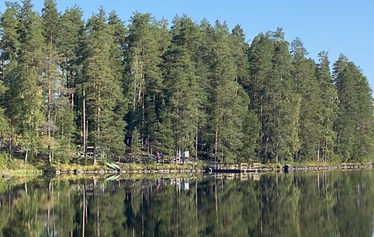 metsämuseo, luontoterveys, metsäretki, luontoelämys, luontosuhde Käpykintukka
