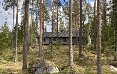metsämuseo, luontoterveys, metsäretki, luontoelämys, luontosuhde Käpykintukka