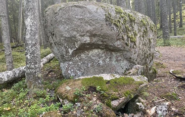 Lumoava ikimetsä, luontoterveys, metsäretki, luontoelämys, luontosuhde, terveysmetsä, Multiharju