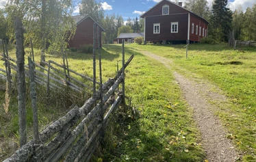 Lumoava ikimetsä, luontoterveys, metsäretki, luontoelämys, luontosuhde, terveysmetsä, Multiharju