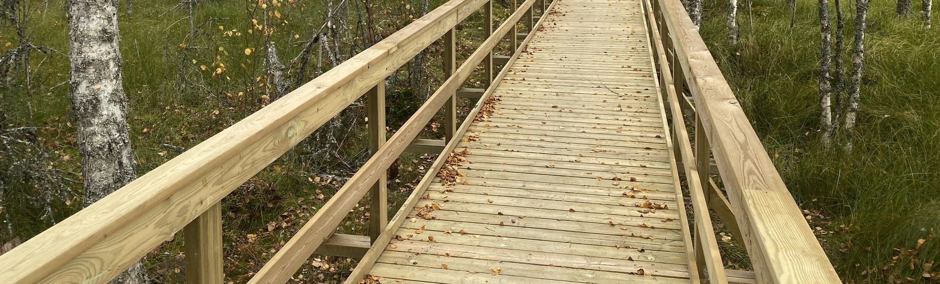 Guided nature excursions