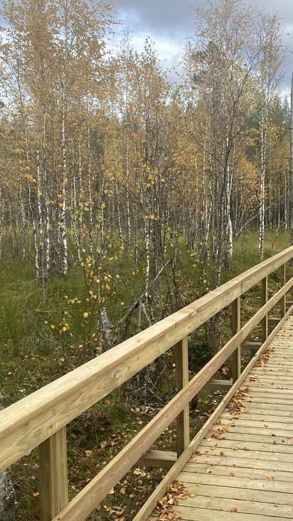 Ohjatut kävelyretket ja muut elämykselliset aktiviteetit