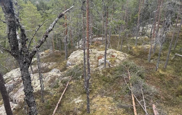 Luontoproffa tutustumassa upouuteen Alkkialammin saunaan.