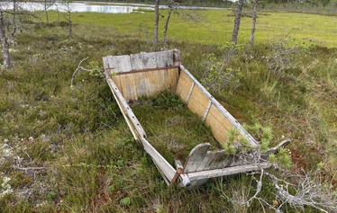 keidassuo, luontoterveys, metsäretki, luontoelämys, luontosuhde, hyvinvointialuonnosta