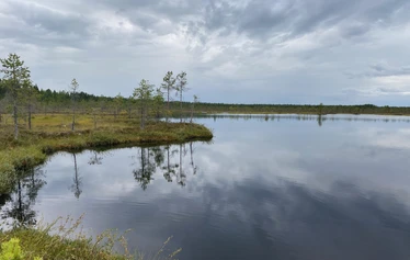 keidassuo, luontoterveys, metsäretki, luontoelämys, luontosuhde, hyvinvointialuonnosta