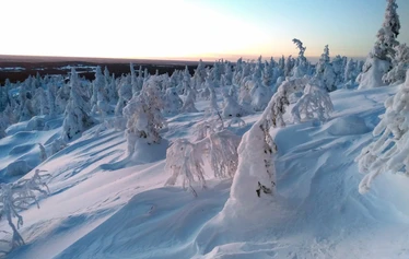 Liukulumikenkäretki Syötteellä
