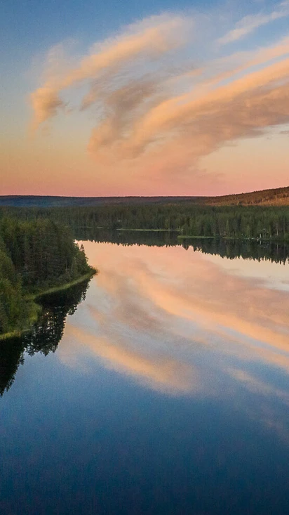 Taigavire – Tietoja meistä
