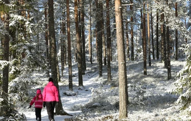 Taikapolku Susiluolan varjoissa - Susiluolaan voi lähteä tutustumaan ympäri vuoden, joko hieman pitemmän tai lyhyemmän kävelyn kautta.