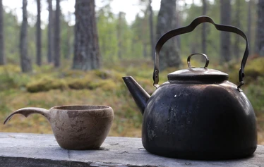 Taikapolku metsäpeuran poluilla - Metsäpeuran poluilla liikutaan Lauhanvuoren kansallispuiston maisemissa samoilla poluilla metsäpeurojen kanssa.