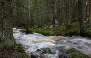 Taikapolku kahden kansallispuiston kierroksella - Kauhalammi on tyyninä kesäpäivinä rauhoittava paikka.