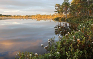 Taikapolku kahden kansallispuiston kierroksella - Kauhalammi on tyyninä kesäpäivinä rauhoittava paikka.