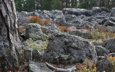 Lauhanvuoren kansallispuiston Kivijata - Lauhanvuoren kansallispuisto on Lauhanvuori-Hämeenkangas Geoparkin ytimessä.