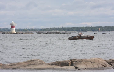 Taikapolkun lintupaikat soilla ja nevoilla - Suuret erämaiset suot ovat kesäisin täynnä elämää. Parhailla soilla linnut ovat pääosissa ja etenkin aamuisin tunnelma on vahva.